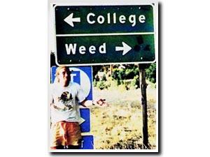 left for College / right for Weed