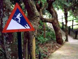 sign with picture of wheelchair man rolling down hill